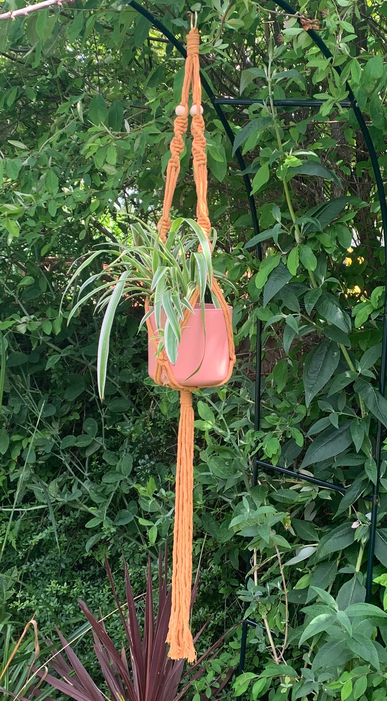 Beaded Plant Hanger
