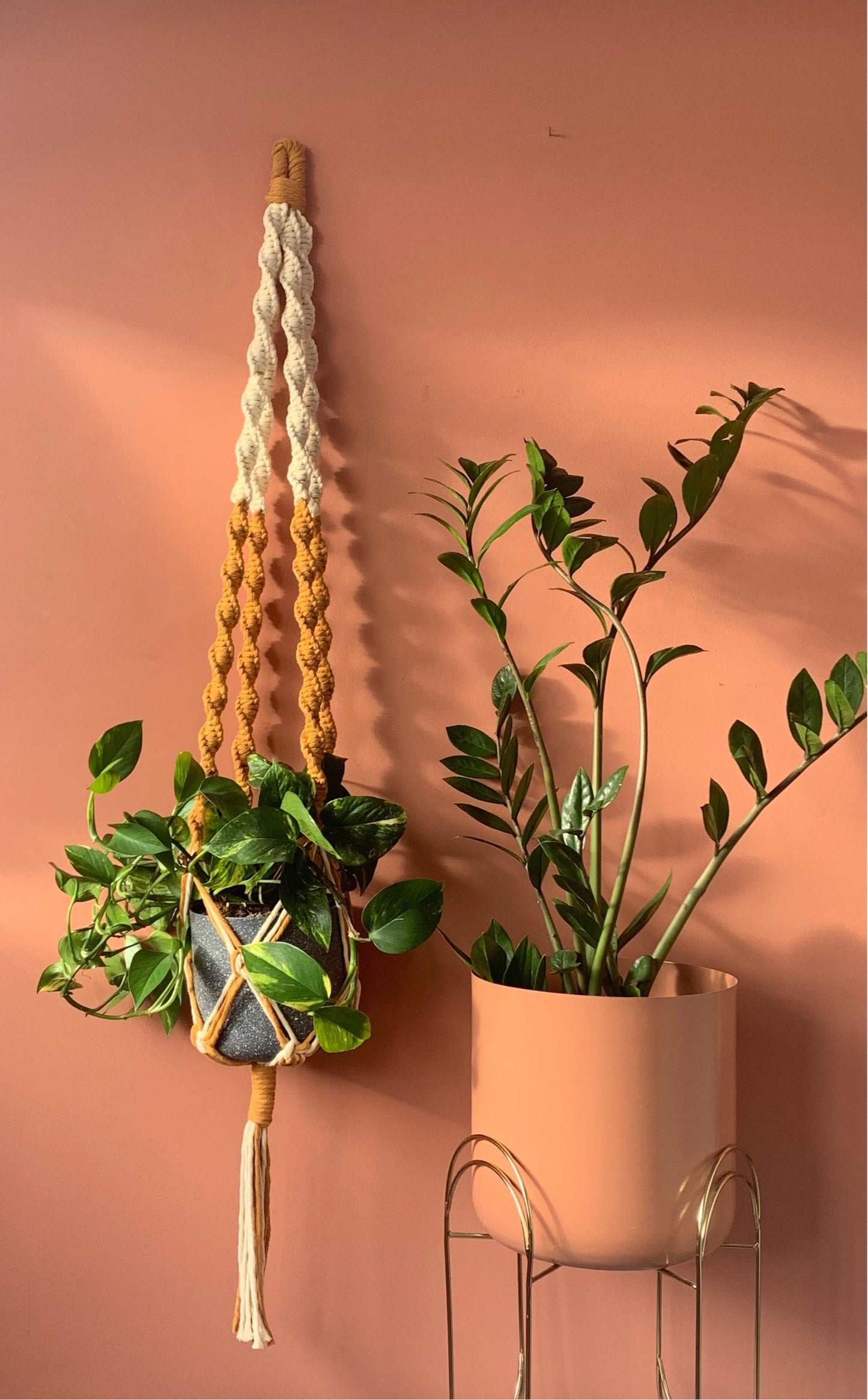 Duo-colour, luxury plant hanger