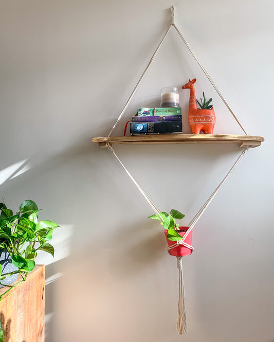 Hanging Wall Shelf with Plant Holder