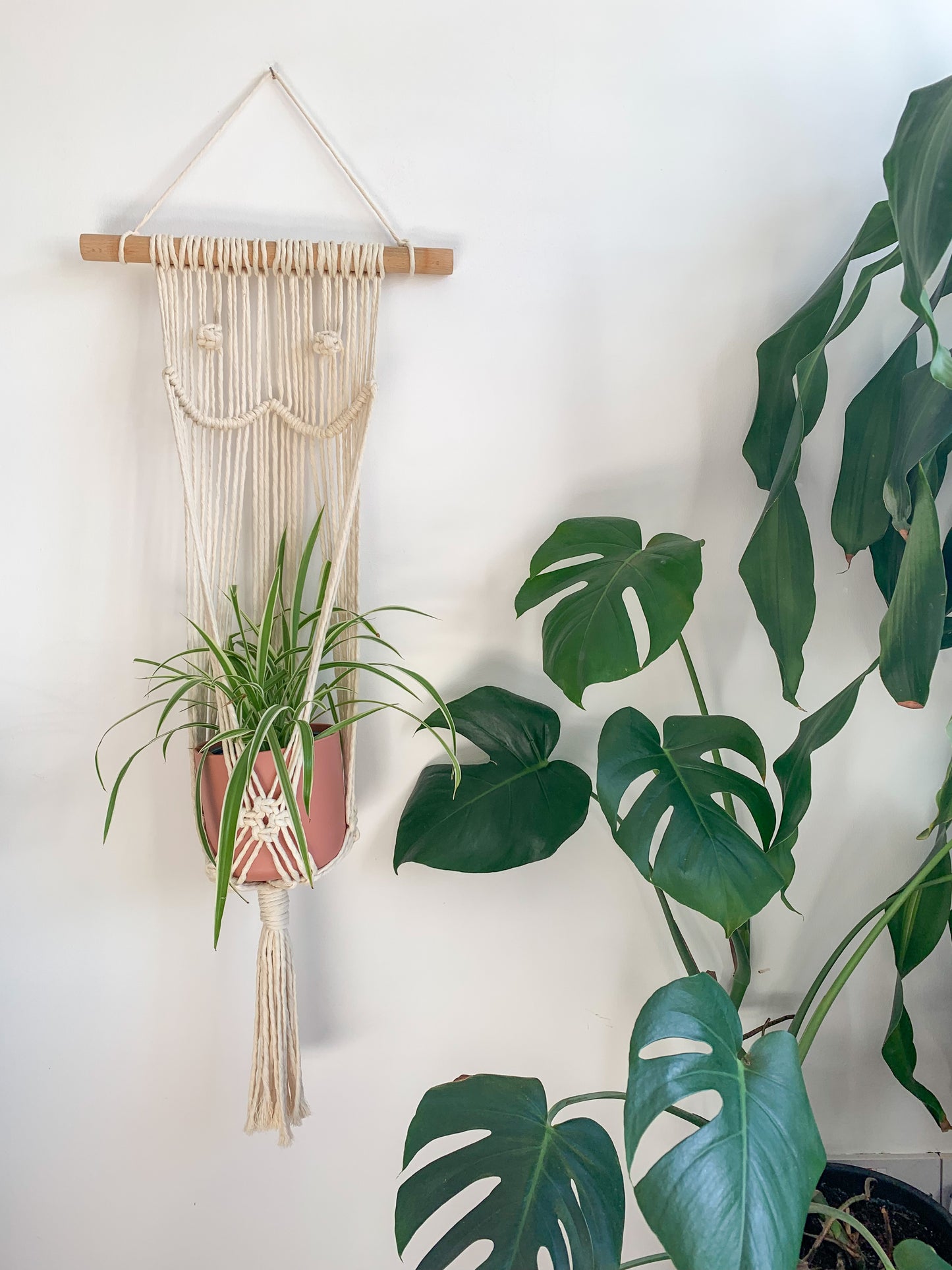 Boob Wall Hanging plant hanger