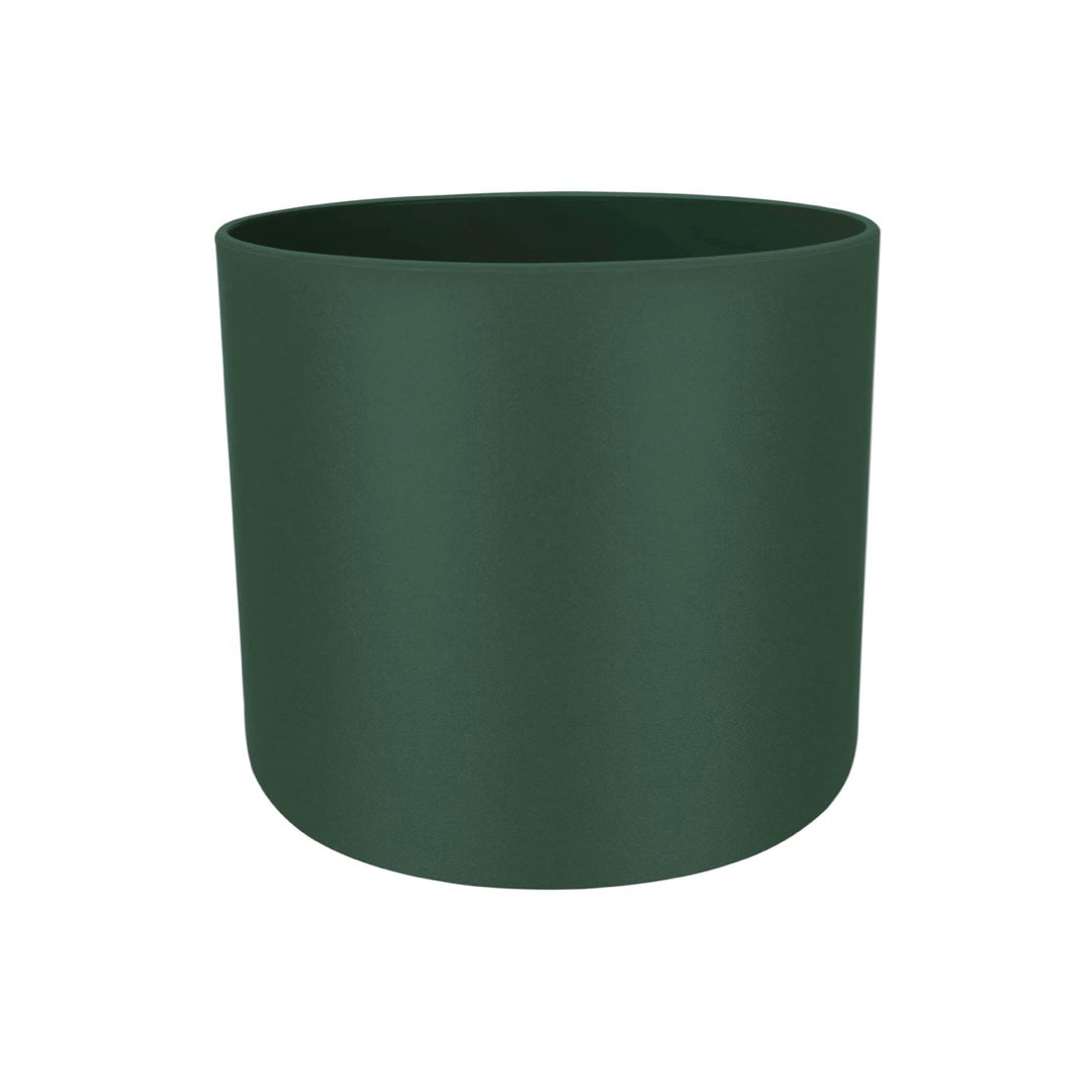 Plant Pot and Plant for local delivery or collection from an event.