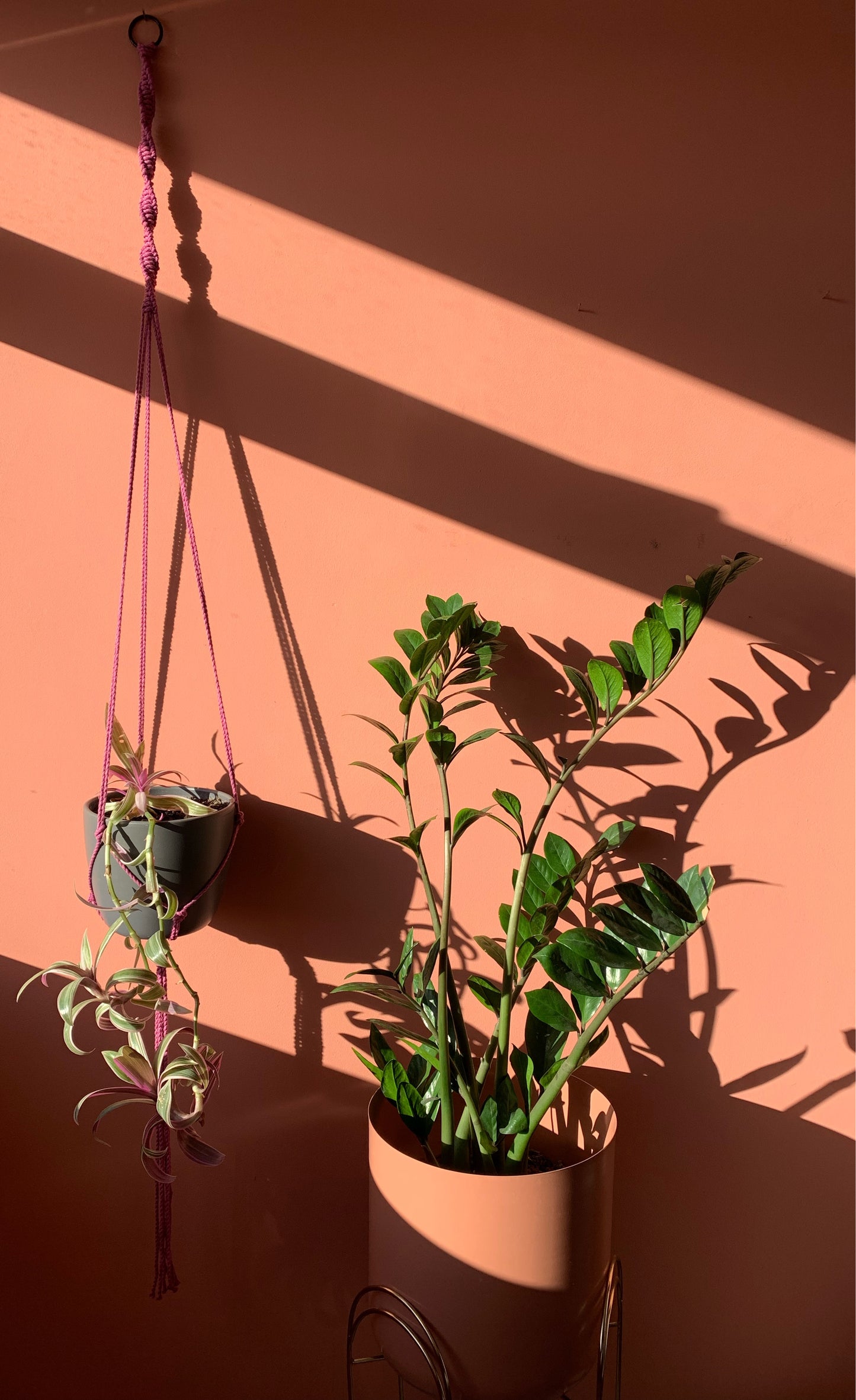Simple Spiral Plant Hanger